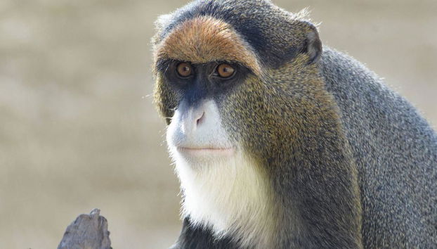 Entrée Terra Natura Murcia - Photo 3